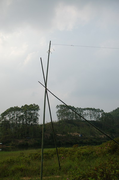 乌骓千里就地取材温顿windom天线野外架设记