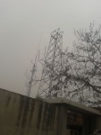 attachment/thumb/mini/Mon_1311/7_360642_673be3f4b9b0576.jpg